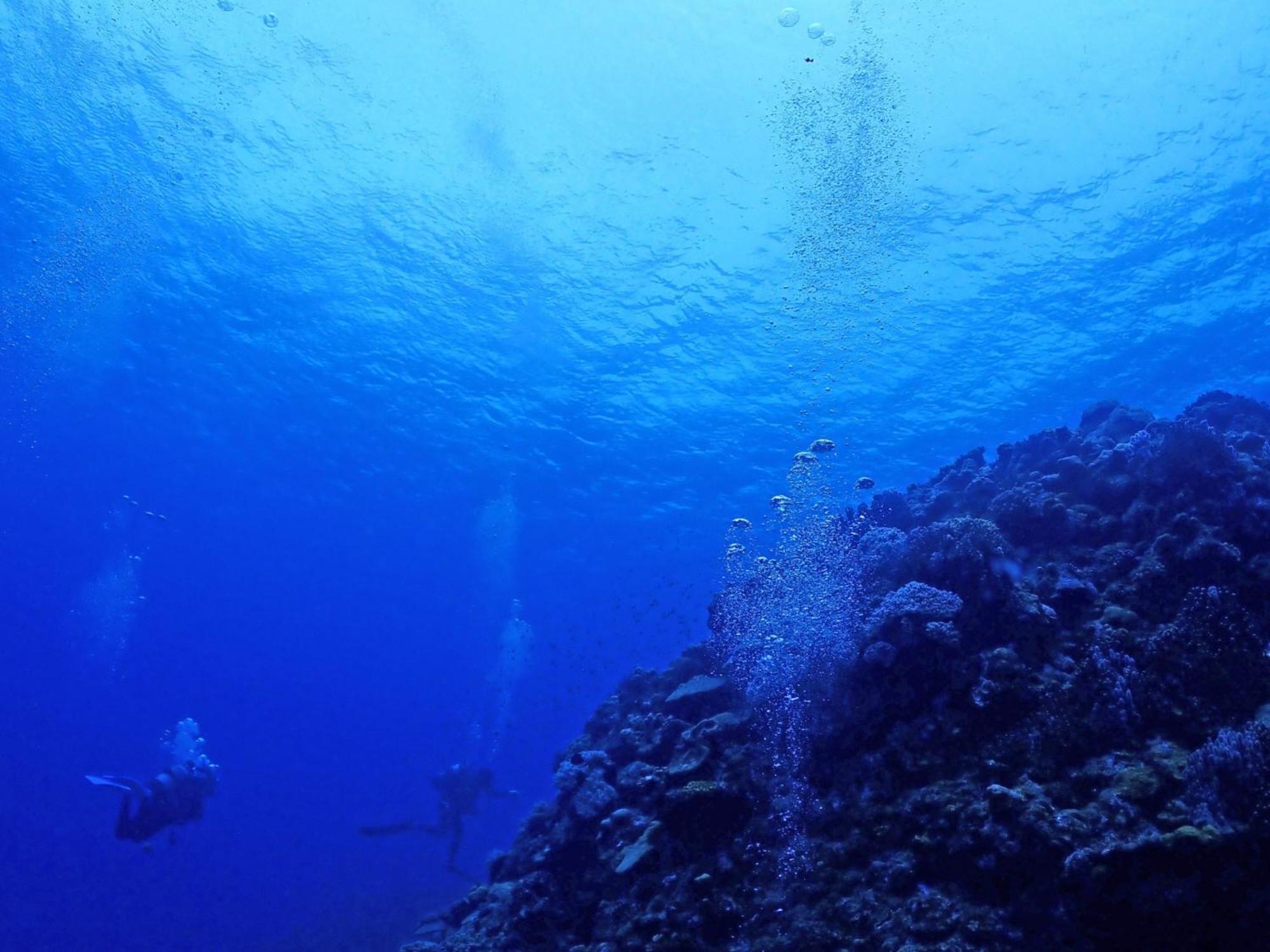 石垣島グループの宿 2216 にじいろ ユーグレナモール内 Ishigaki  Εξωτερικό φωτογραφία